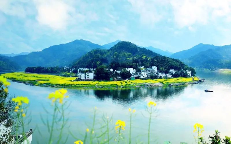 高效高效